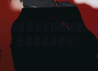 puypuy应该是米尔科的代理人吧，这个合集我必须要有！